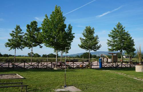 Agriturismo Consalvi - Foto 15