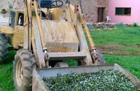 Sete Quintas - Foto 60