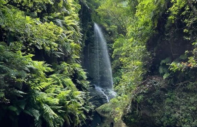 Apartment in La Punta de Tijarafe - Foto 21