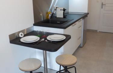 Room in Toulouse Studio 4 proche Airbus à TOULOUSE ST Martin du Touch - Foto 8