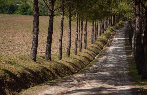 Agriturismo La Pieve - Foto 38