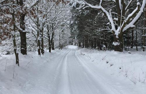 Niebieski Domek - Foto 53