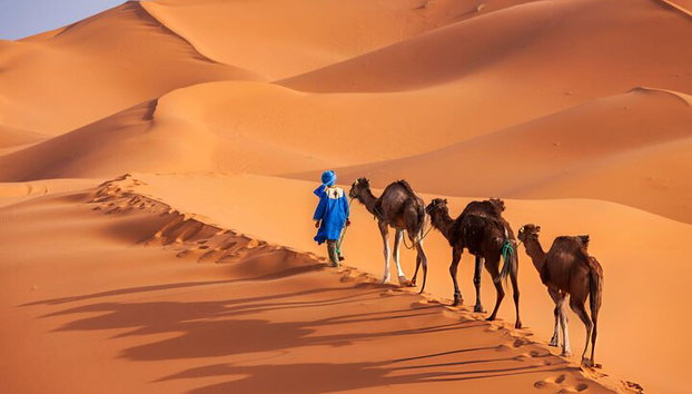 zagora desert 2 jours au départ de Marrakech - Photo 5
