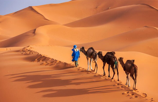 Desierto de zagora Excursiones de 2 días desde Marrakech - Foto 5