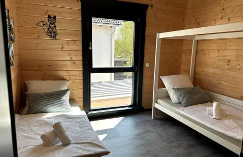 Erlebe das Black oder Forest - Foto 48