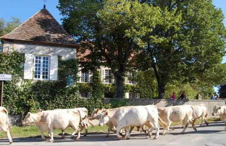 Le Mas d'en Haut - Photo 22