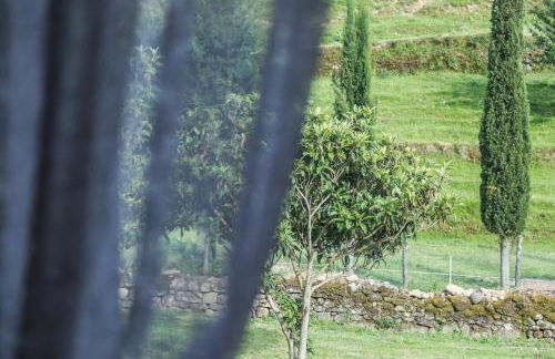 Podere Groppini - Foto 32