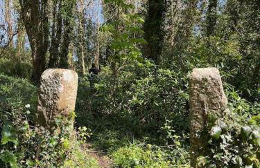 Stepping Stones Cottage - Lelant, Nr St Ives - Foto 7
