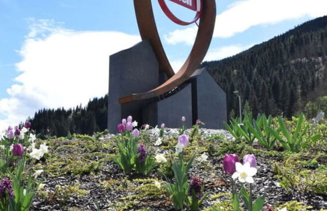 Apartment Bar Comfortable Holiday Residence - Photo 20