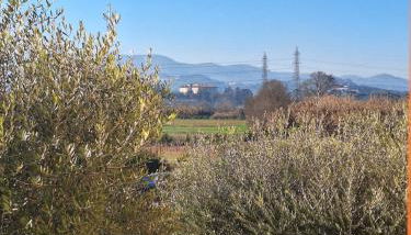 La casa del fenicottero - Foto 5