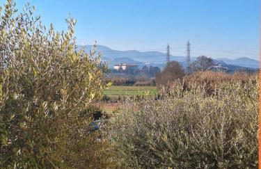 La casa del fenicottero - Foto 5