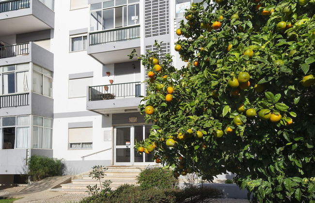 Olala Yolo Apartment - Photo 10