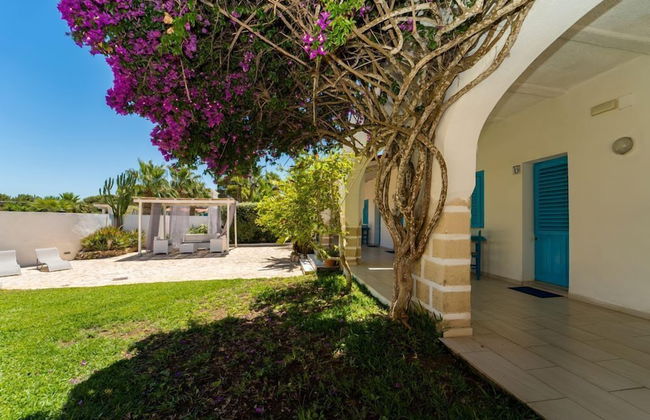 Antichi Mulini - Photo 59