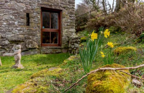 2 Bed in Crickhowell oc-42920 - Foto 29