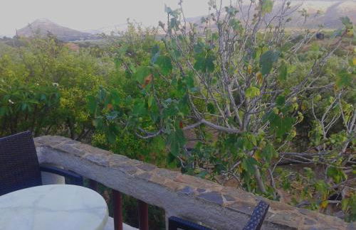 Sunrise Apartments - Photo 10