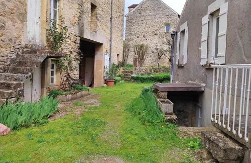 La glycine - Foto 45