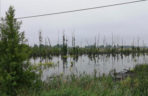 Sommerhaus Verchen - Foto 23
