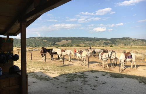 Appartamento sirente - Foto 34