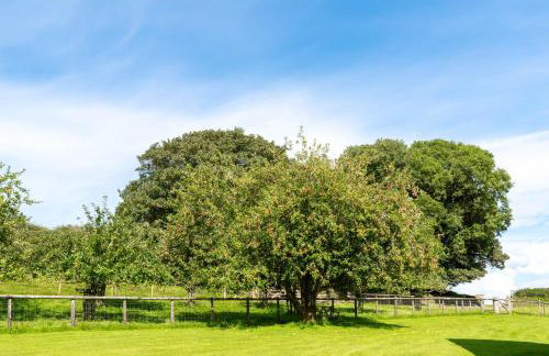 Ta Mill Cottages & Lodges - Meadowview Chalet 2 - Foto 15