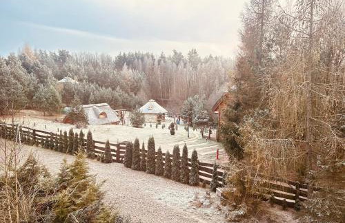 Pod Kogutem i Sową - Bio Wioska z domkami Premium w góralskim stylu VIP - Foto 19