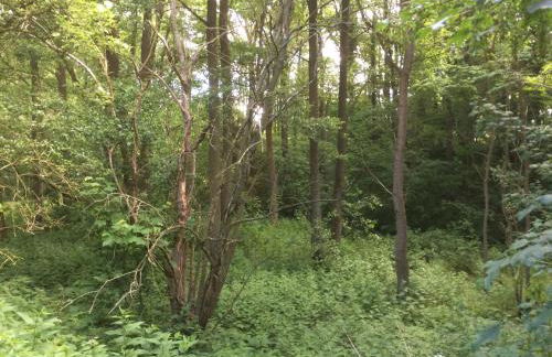 Ländliches HideAway zwischen Hamburg und Lübeck - Foto 30