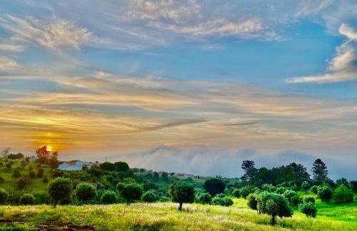 Casa Chão de Ourém, O charme em Montargil. - Foto 22