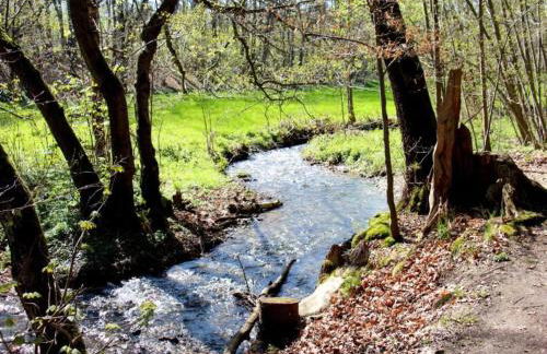 Exklusives Gruppenhaus mit home cinema - Foto 35