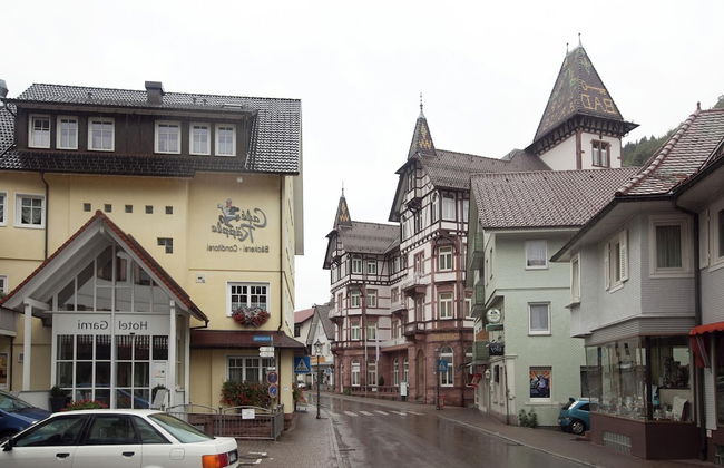 Ferienwohnung, Bad Peterstal - Foto 35