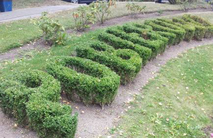 Amber Barn - Bursztynowa Stodoła - Noclegi u Loni - w zacisznym centrum nad morzem z parkingiem - Foto 55
