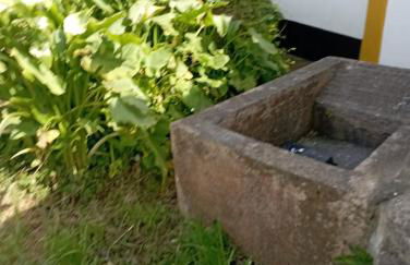 Casa da Lapa - Photo 35