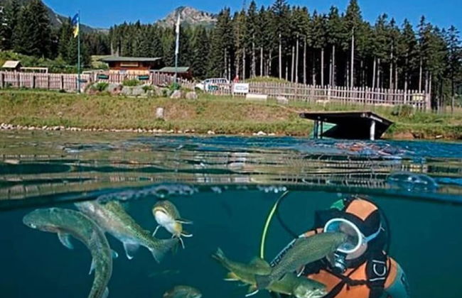 Welcoming Apartment near Forest in Vordenberg - Foto 16