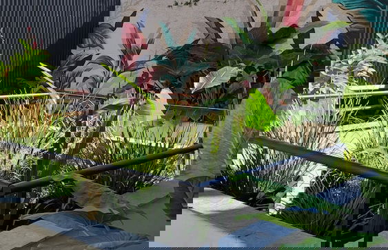 La Belle San Isidro Lofts - Foto 34