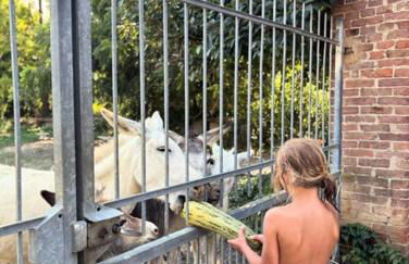 Agriturismo AgriTexS - Foto 30