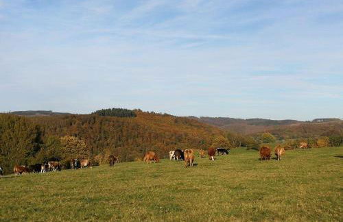 Ferientraum-am-Rothaarsteig - Foto 13