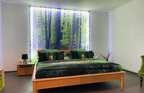 Limes Apartment -übernachten am Limes- - Photo 19