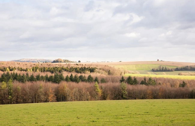 Cosy Cottage in Beautiful South Downs Walk 2 Pub - Photo 2