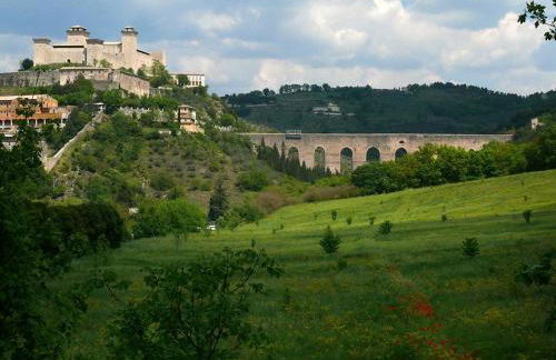 Marco & Andrea Agriturismo Collepina - Foto 20