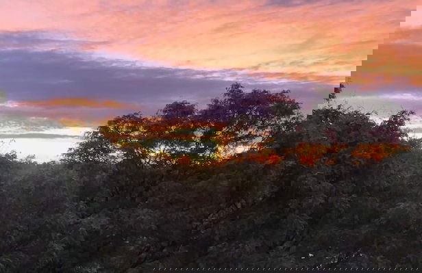 Stratford Suites - 32 Ontario St. - Foto 1