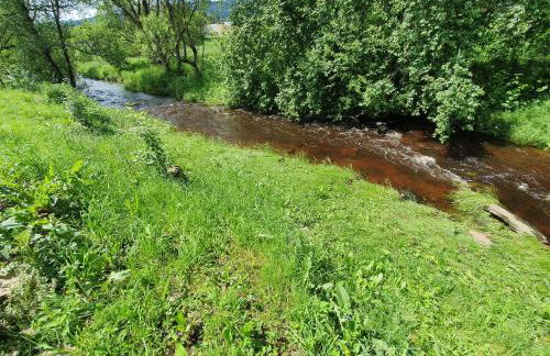 Domki Dzika Orlica - Foto 43