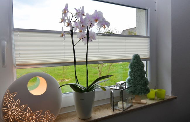 Ferienhaus in Schwarzhausen - Foto 20