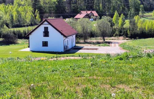 Ptasi Zakątek - Foto 8