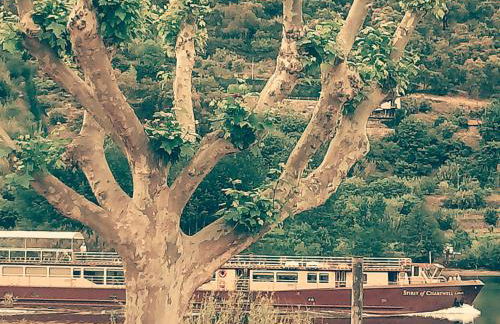 Douro Balcony - Foto 60