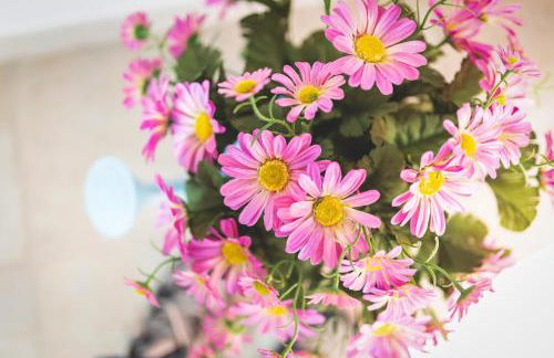 Matteo's Apartments - Foto 15