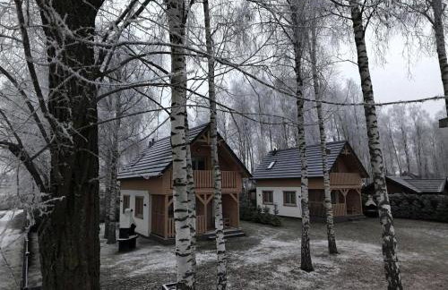 Wiele Żurawi - Foto 52