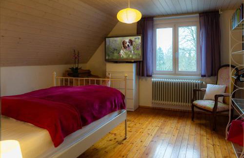 s'Krumme Gustels Hüs - Foto 7