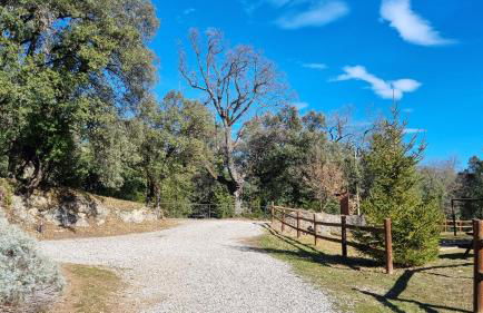 Cal Marti - Vilamantells - Foto 38