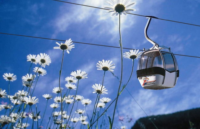 Chalet in Reith Near Ski Juwel Alpbachtal - Foto 37