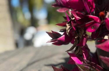 Refúgio Familiar Cristão - Piscina, natureza e paz - Foto 52