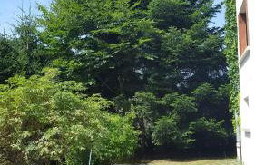 Chalet La Zaubette 8 personnes - Foto 15