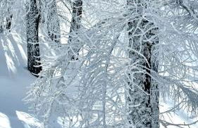 Facing the Sestriere Ski Slopes - Foto 74